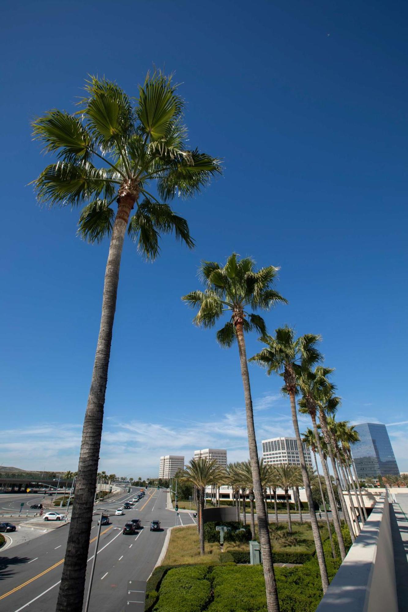 Hyatt Regency Irvine Hotell Exteriör bild